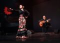 Stella Musica
