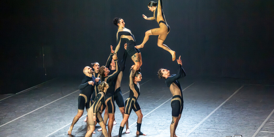 Wolf de la compagnie Circa : Un retour à l&rsquo;instinct sauvage par le cirque contemporain