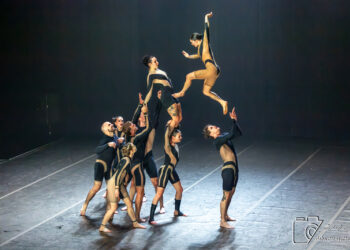 Wolf de la compagnie Circa : Un retour à l&rsquo;instinct sauvage par le cirque contemporain