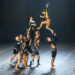 Wolf de la compagnie Circa : Un retour à l&rsquo;instinct sauvage par le cirque contemporain