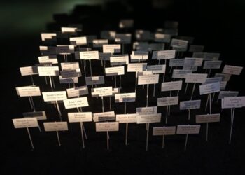 Nom des victimes dans l'exposition, Dans la tête des tueurs en série - Photo : Suzette Paradis